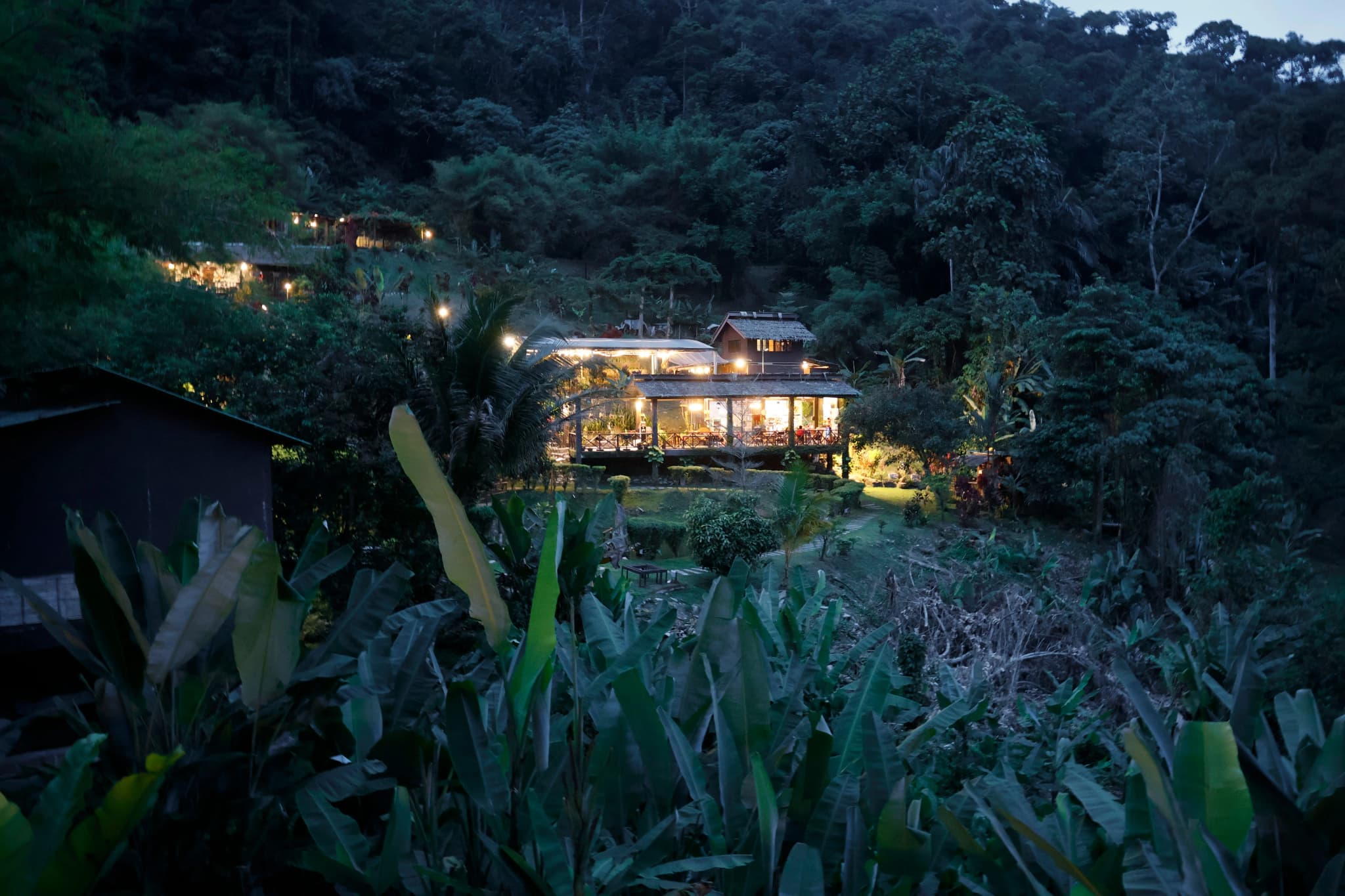 Secluded Jungle Retreat